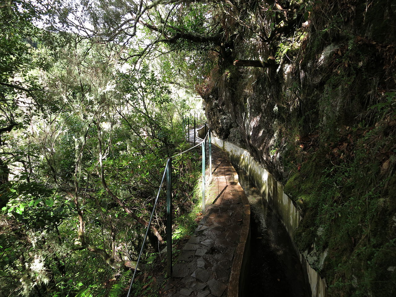 Trek Levada Furado à Madère